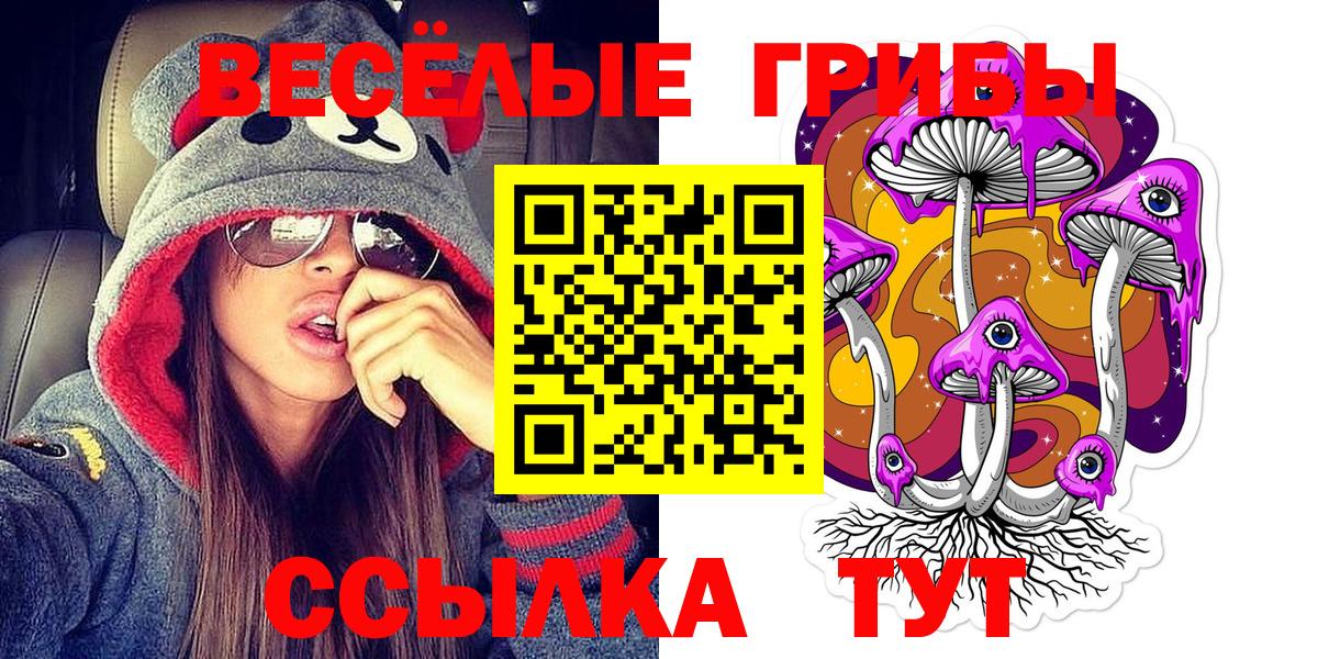 Галлюциногенные грибы Psilocybine cubensis  Вход с VPN  Галлюциногенные грибы прущие грибы  Заречный 