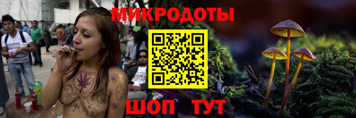 Псилоцибиновые грибы Cubensis Заречный